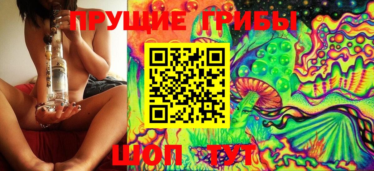 Осинники  Псилоцибиновые грибы ЛСД  Вход с VPN  Псилоцибиновые грибы мухоморы 